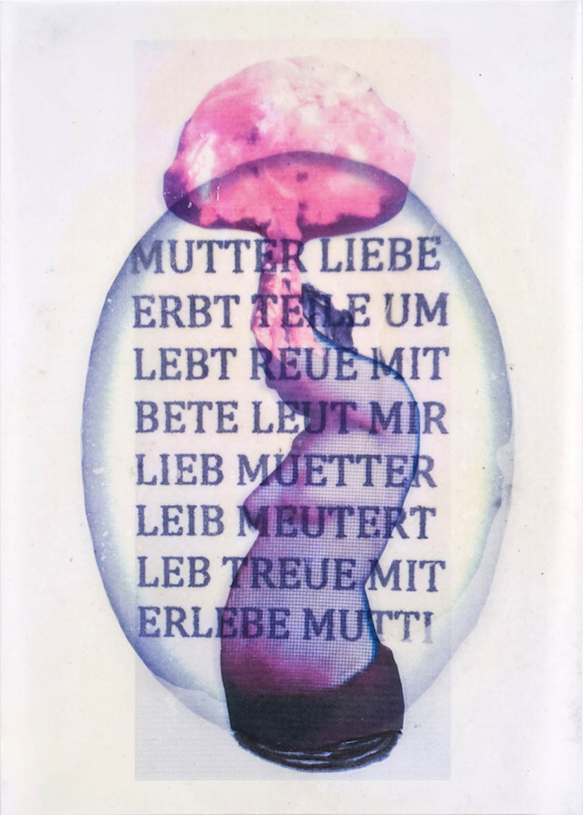 EVA SCHWAB MUTTERLIEBE